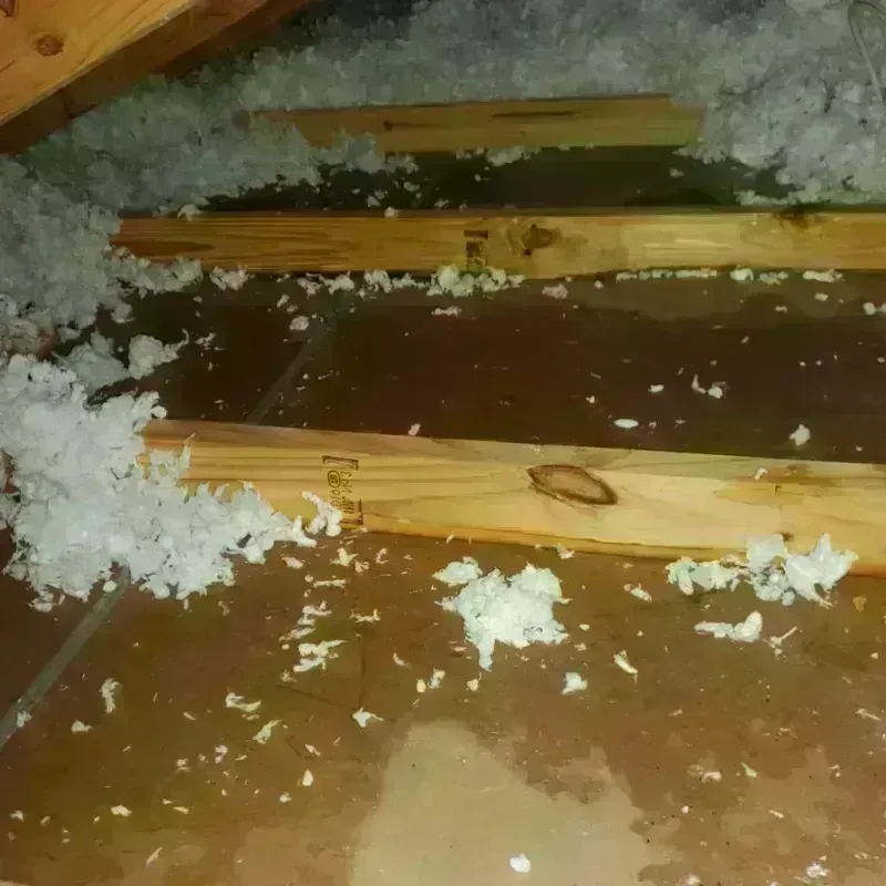 Attic Water Damage in Cass County, TX