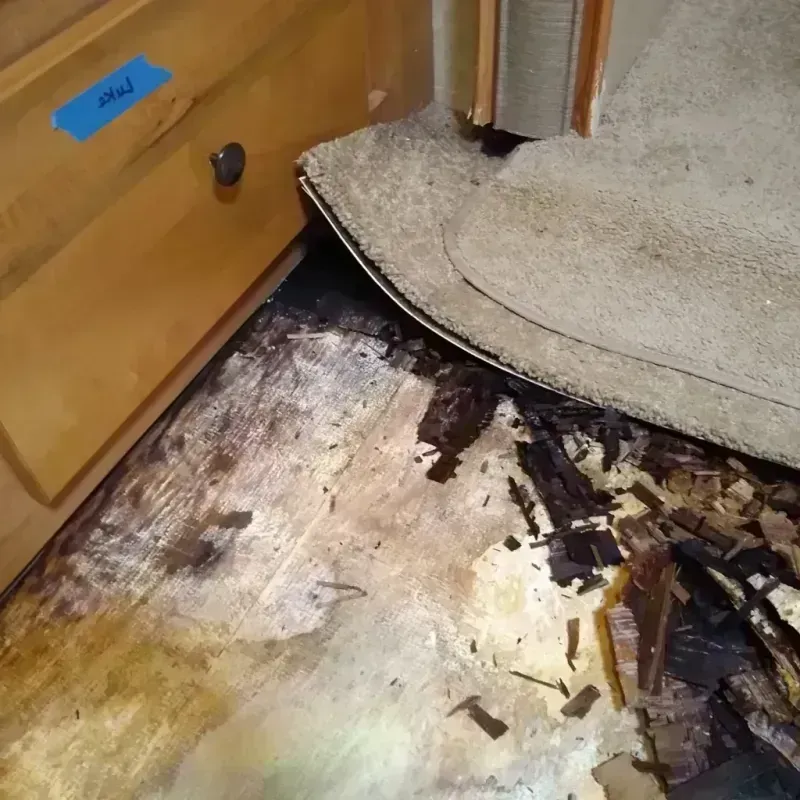 Wood Floor Water Damage in Cass County, TX